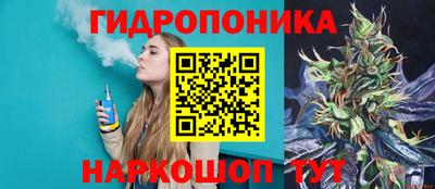 стафф Гусев