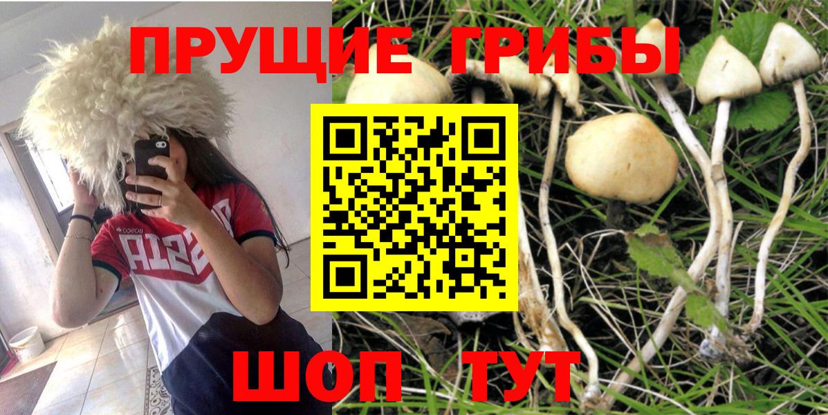 Псилоцибиновые грибы ЛСД Петровск