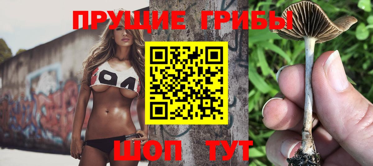Галлюциногенные грибы GOLDEN TEACHER  Вход с VPN  Псилоцибиновые грибы MAGIC MUSHROOMS  Петровск 